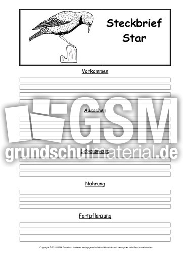 Steckbriefvorlage-Star.pdf